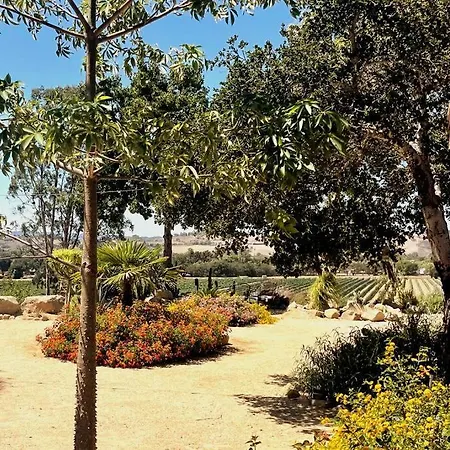 Hilltop Vineyard And Agave Field With View Santa Ynez Exterior photo