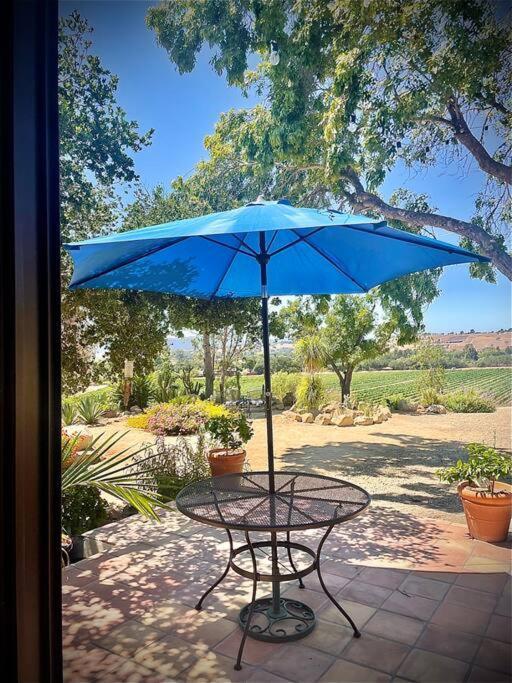 Hilltop Vineyard And Agave Field With View *