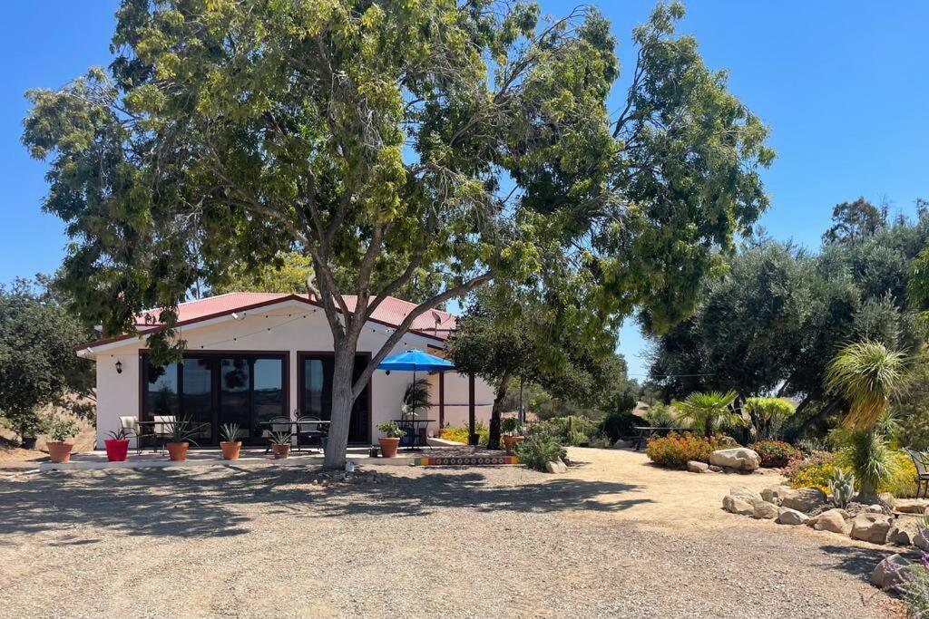 Hilltop Vineyard And Agave Field With View * Santa Ynez