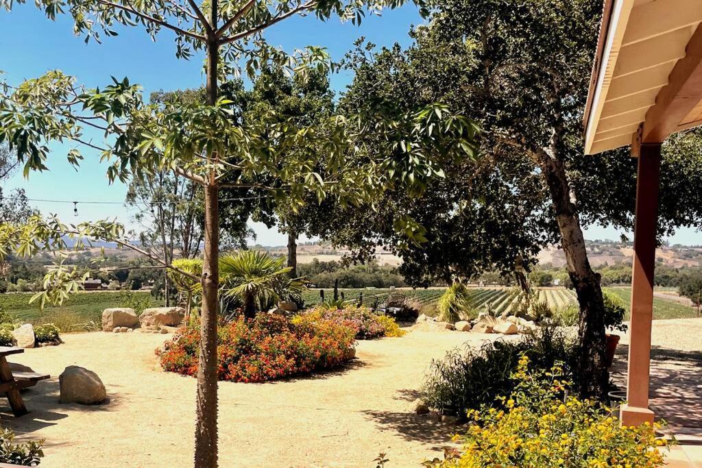 Hilltop Vineyard And Agave Field With View Holiday home Santa Ynez