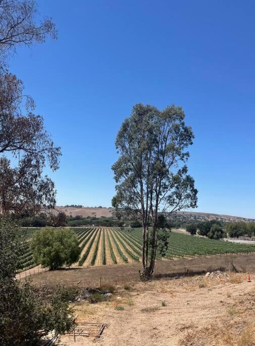 Holiday home Hilltop Vineyard And Agave Field With View *